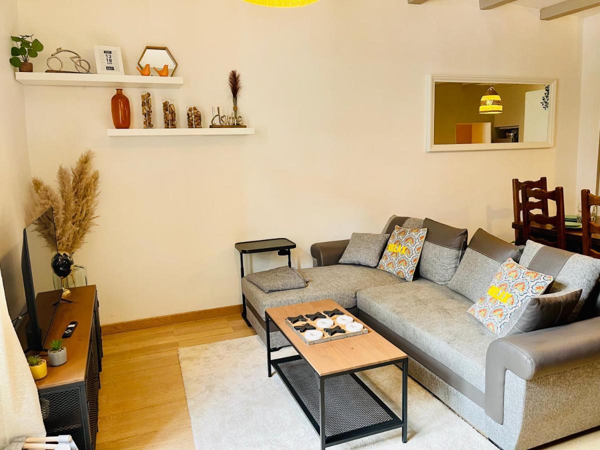 Maison Gabriel - Logement Charmant Au Coeur De La Cite Medievale - T3 75M2 Albertville Exteriér fotografie